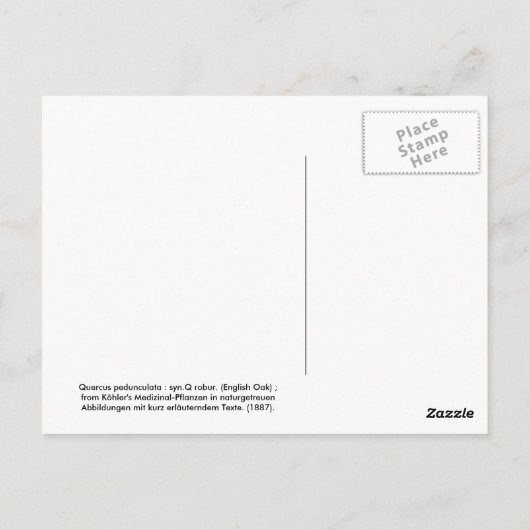 Quercus pedunculata : syn.Q robur. (Englische Eich Postkarte (Rückseite)