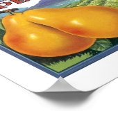 Quercus Ranch Bartlett Birars Poster (Ecke)