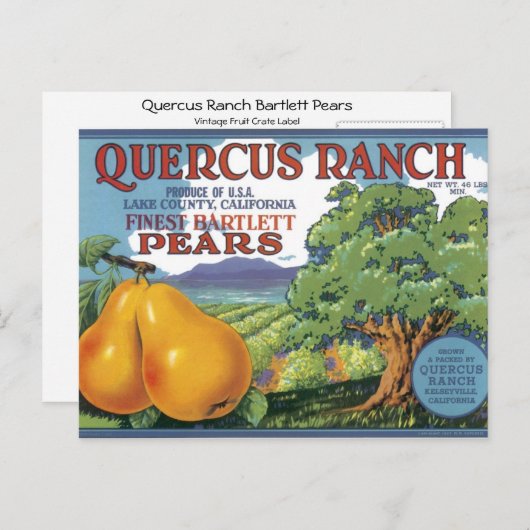 Quercus Ranch Bartlett Birars Postkarte (Vorne/Hinten)