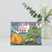 Quercus Ranch Bartlett-Birnen Postkarte (Stehend Vorderseite)