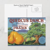 Quercus Ranch Bartlett-Birnen Postkarte (Vorne/Hinten)
