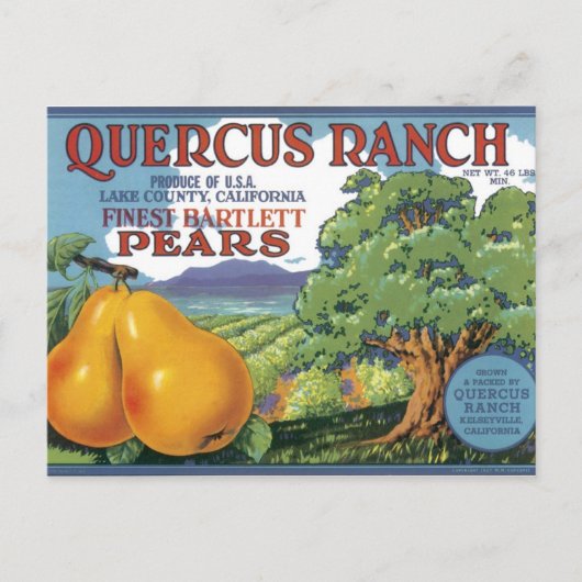 Quercus Ranch Bartlett-Birnen Postkarte (Vorderseite)