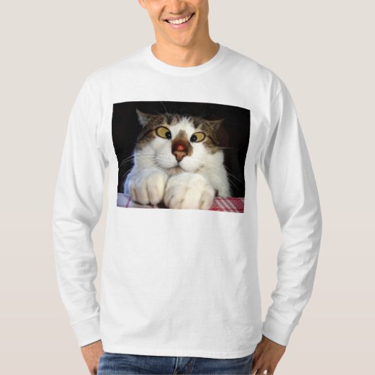 Quere mit Augen Katze und Marienkäfer T-Shirt (Vorderseite)