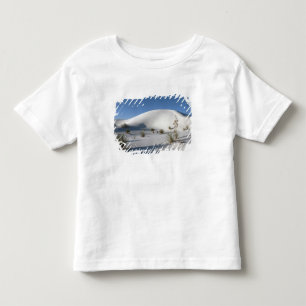 Querliegende Dünen und Seifenbaum-Yucca Kleinkind T-shirt