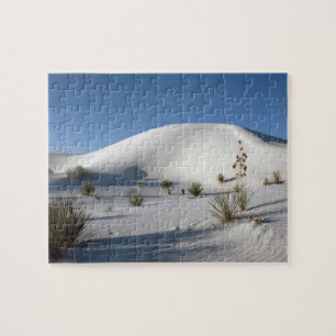 Querliegende Dünen und Soaptree Yucca Puzzle