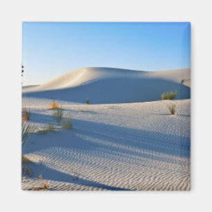 Querliegende Dünen, Yucca, Frühes Morgenlicht Magnet