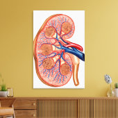 Querschnitt der inneren Anatomie einer Niere Leinwanddruck (Insitu (Wohnzimmer))