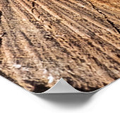 Querschnitt des Apfelbaums (Malus)abstrakt, b Poster (Ecke)