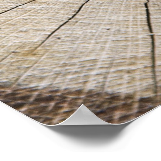 Querschnitt des Baumstamms Poster (Ecke)