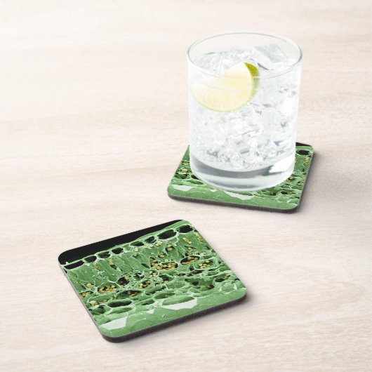 Querschnitt des Blattes Getränkeuntersetzer (Rechte Seite)