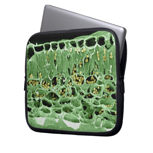 Querschnitt des Blattes Laptopschutzhülle (Vorderseite Links)