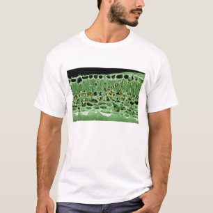 Querschnitt des Blattes T-Shirt