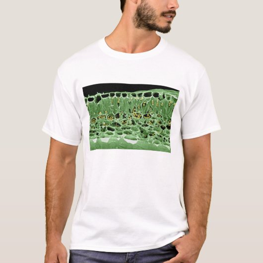 Querschnitt des Blattes T-Shirt (Vorderseite)