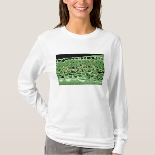 Querschnitt des Blattes T-Shirt