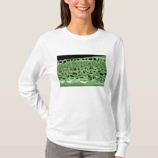 Querschnitt des Blattes T-Shirt (Vorderseite)