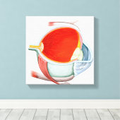 Querschnitt des menschlichen Auges Leinwanddruck (Insitu (Holzboden))