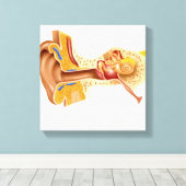 Querschnitt des menschlichen Ohrs Leinwanddruck (Insitu (Holzboden))