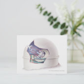 Querschnitt des Teleskops innerhalb einer Beobacht Postkarte (Stehend Vorderseite)