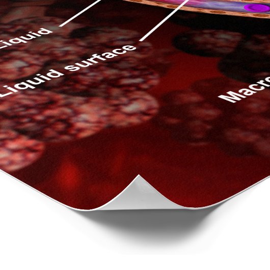 Querschnitt einer Alveoli in die menschliche Lunge Poster (Ecke)