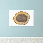 Querschnitt eines versteinerten Heckstammes (Tiete Leinwanddruck (Insitu (Holzboden))