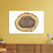 Querschnitt eines versteinerten Heckstammes (Tiete Leinwanddruck (Insitu (Wohnzimmer))