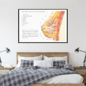 Querschnittsdiagramm des menschlichen Brustkorbs Leinwanddruck (Insitu (Schlafzimmer))