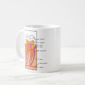 Querschnittsdiagramm eines menschlichen Zahnes Kaffeetasse (Vorderseite Links)