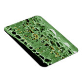 Querschnittsteil von Leaf Magnet (Rechte Seite)