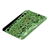 Querschnittsteil von Leaf Magnet (Linke Seite)