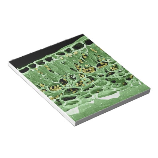 Querschnittsteil von Leaf Notizblock (angewinkelt)