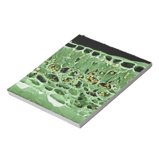 Querschnittsteil von Leaf Notizblock (Rotiert)