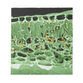 Querschnittsteil von Leaf Notizblock (Vorderseite)