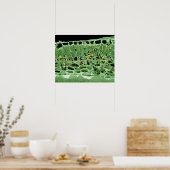 Querschnittsteil von Leaf Poster (Küche)