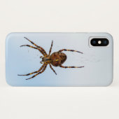 Querspinne im Netz Case-Mate iPhone Hülle (Rückseite (Horizontal))