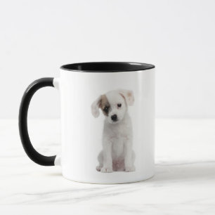 Querzuchtwelpe (2 Monate alte) Tasse