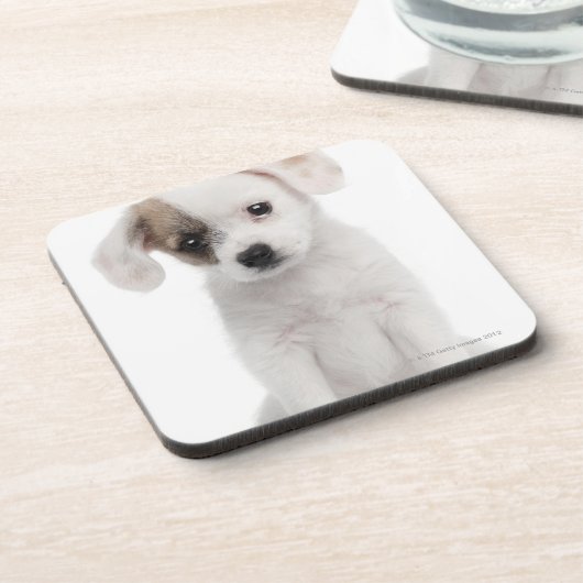 Querzuchtwelpe (2 Monate alte) Untersetzer (Linke Seite)