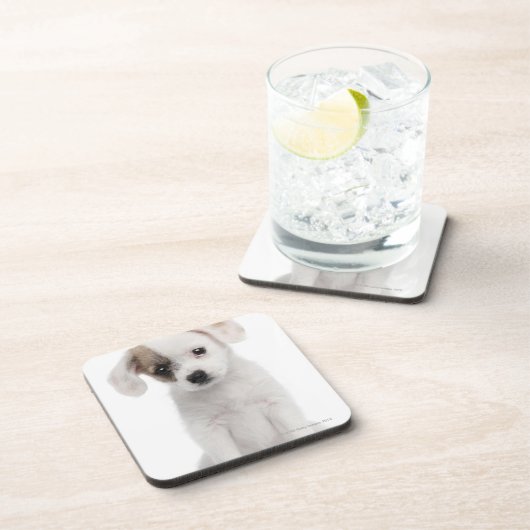 Querzuchtwelpe (2 Monate alte) Untersetzer (Rechte Seite)