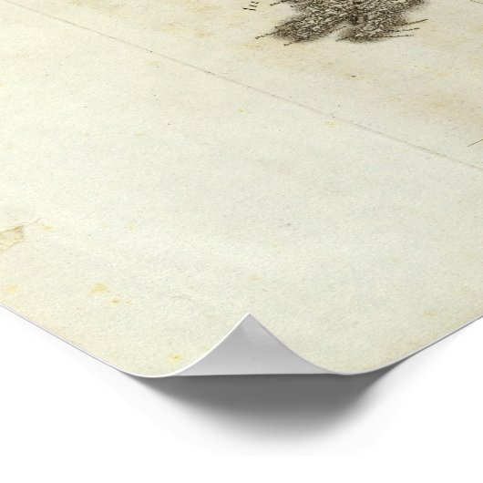 quessant poster (Ecke)