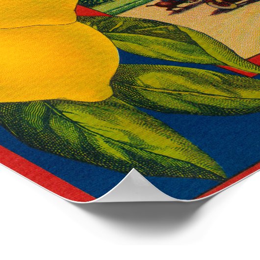 Questa Lemon LabelCorona, CA Poster (Ecke)