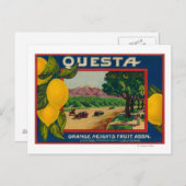 Questa Lemon LabelCorona, CA Postkarte (Vorne/Hinten)