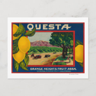Questa Lemon LabelCorona, CA Postkarte