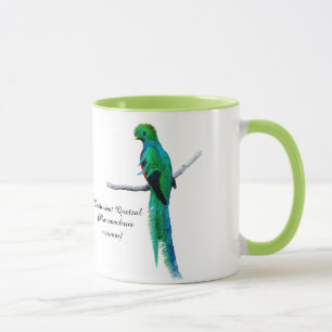 Quetzal zeichnend Vogelillustrierung Wasserfarbe Tasse