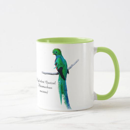 Quetzal zeichnend Vogelillustrierung Wasserfarbe Tasse (Rechts)