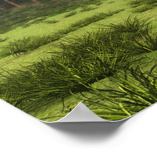 Quetzalcoatl Poster (Ecke)