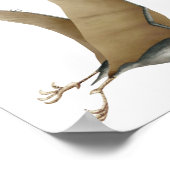 Quetzalcoatlus Poster (Ecke)