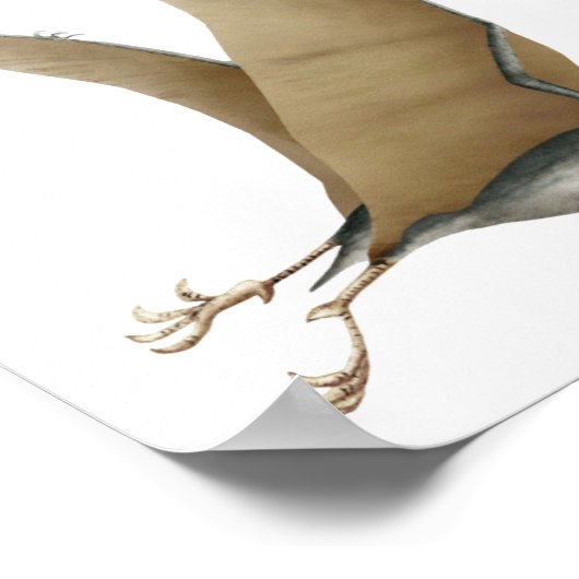 Quetzalcoatlus Poster (Ecke)