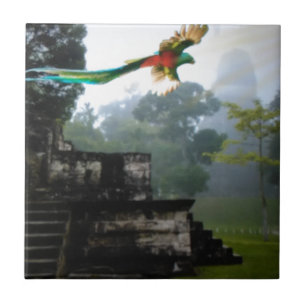 Quetzel in Tikal Fliese
