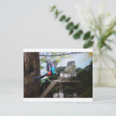 Quetzel in Tikal Postkarte (Stehend Vorderseite)