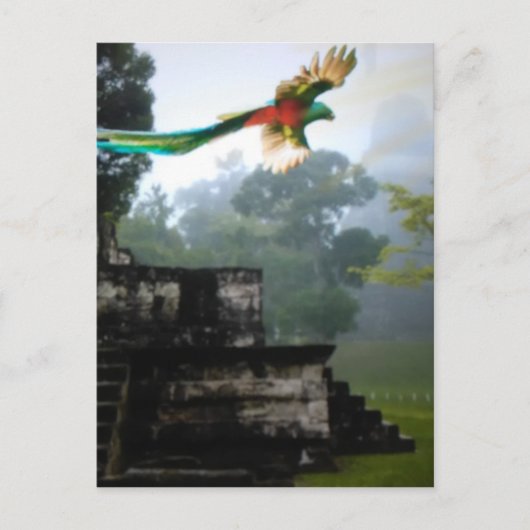 Quetzel in Tikal Postkarte (Vorderseite)