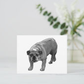 Quick Cheer Bulldog Postkarte (Stehend Vorderseite)